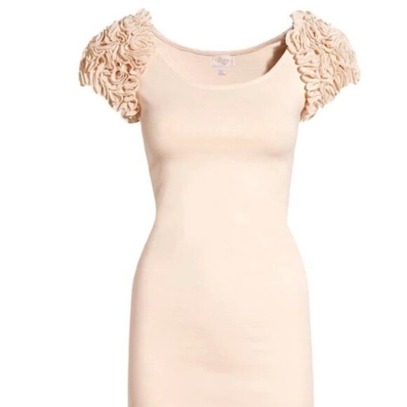 H&M NWT paste pink The Garden Collection bodycon mini dress puffy floral sleeves - Picture 15 of 15